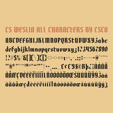 cs-weslia-gothic-font-craft-supply-co-8.jpg