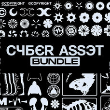 Cyber Asset Bundle
