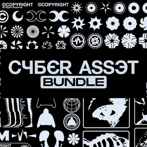 Cyber Asset Bundle