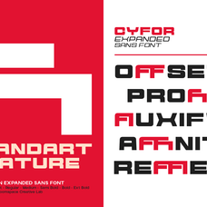 cyfor-a-modern-expanded-sans-serif-roomspace-creative-lab-8.png