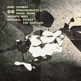 Dark Chamber Photo Print