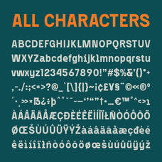 darlond-bold-sans-serif-craft-supply-co-8.jpg
