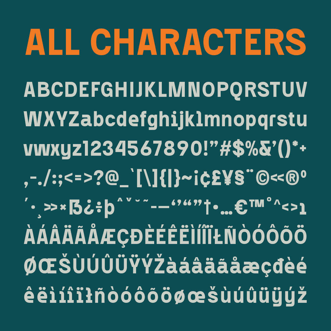 darlond-bold-sans-serif-craft-supply-co-8.jpg