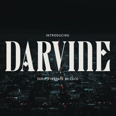 darvine-serif-font-craft-supply-co-1.jpg