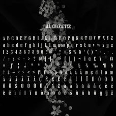darvine-serif-font-craft-supply-co-8.jpg
