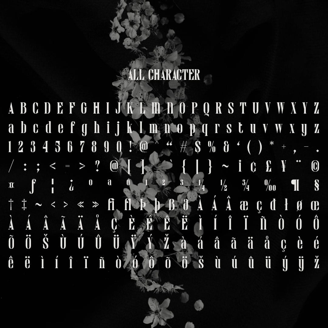 darvine-serif-font-craft-supply-co-8.jpg