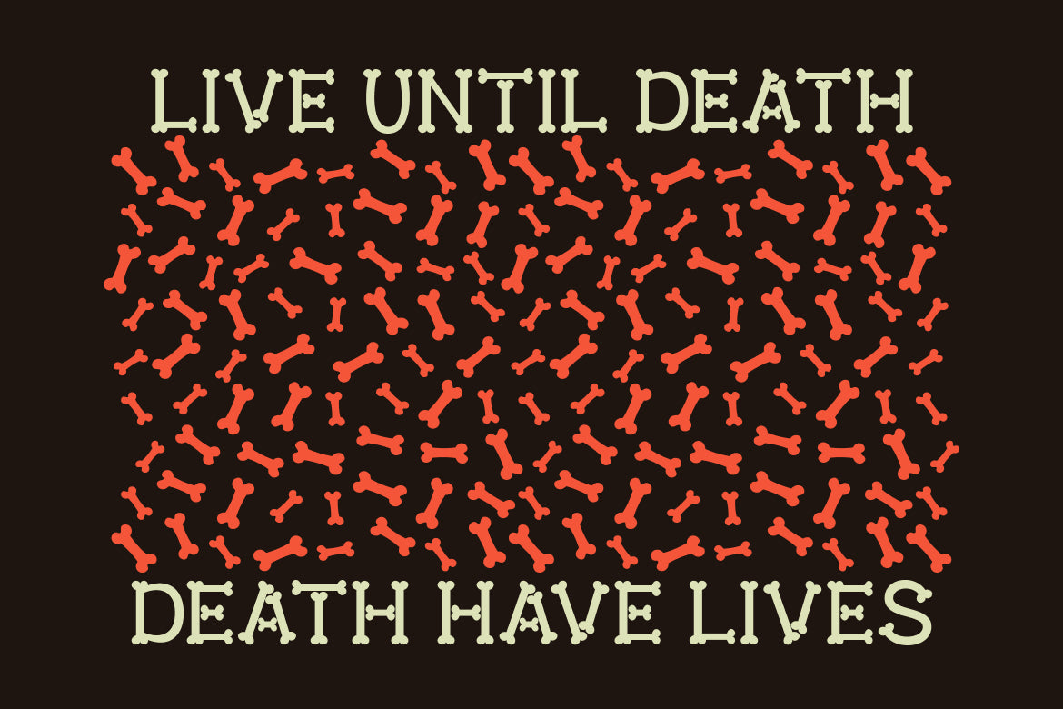 deadbone-display-font-vadova-studio-4.jpg