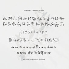 dellmonte-casual-script-font-heinzel-std-17.jpg
