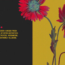 Delusio Halftone Photoshop Effect