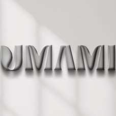 Deluxe Realistic Chrome Mockups