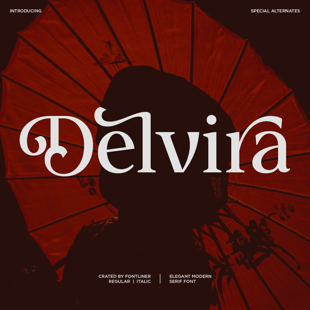 delvira-stylish-elegant-serif-font-fontliner-1.png