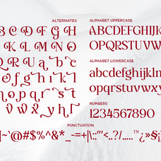 delvira-stylish-elegant-serif-font-fontliner-10.png
