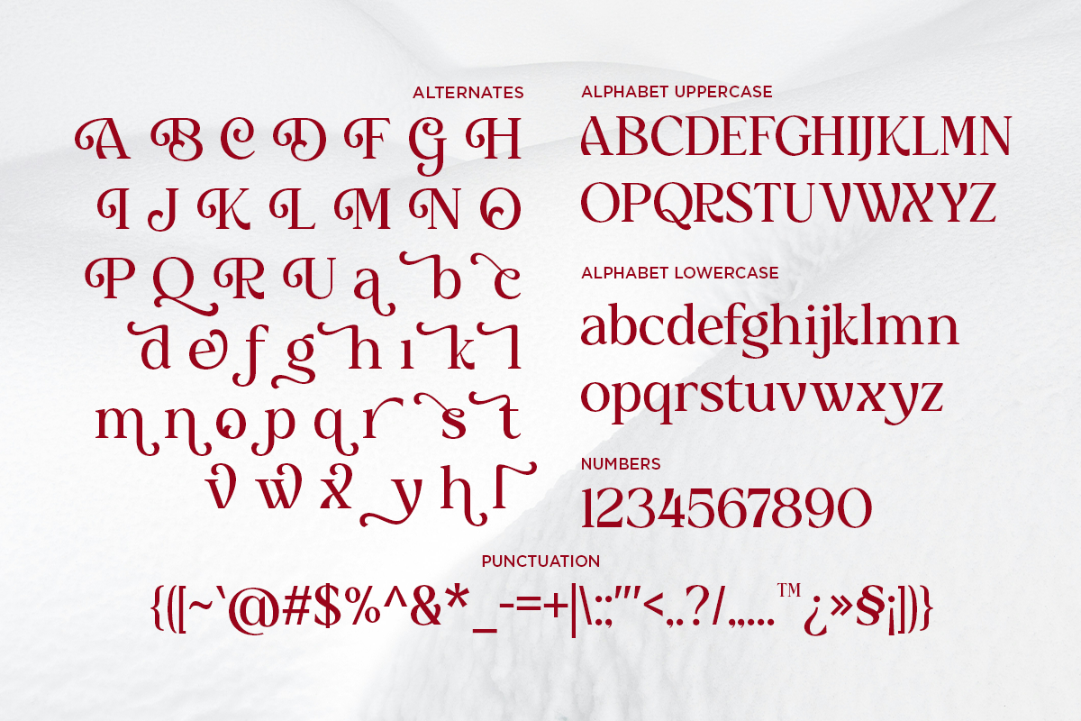 delvira-stylish-elegant-serif-font-fontliner-10.png