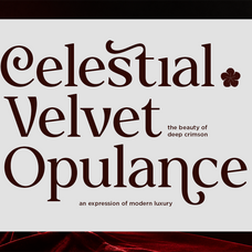delvira-stylish-elegant-serif-font-fontliner-2.png