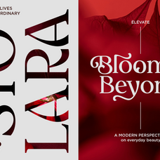 delvira-stylish-elegant-serif-font-fontliner-3.png