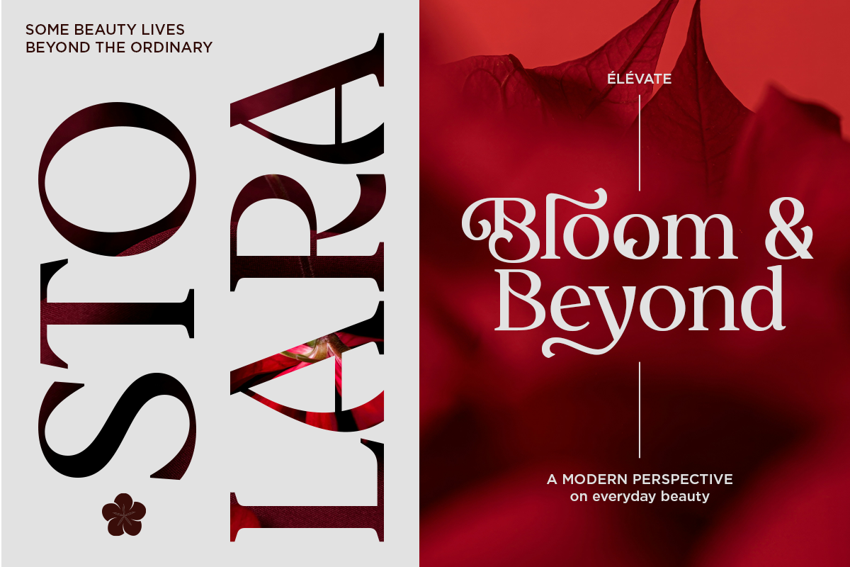 delvira-stylish-elegant-serif-font-fontliner-3.png