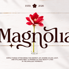 delvira-stylish-elegant-serif-font-fontliner-8.png
