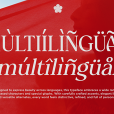 delvira-stylish-elegant-serif-font-fontliner-9.png