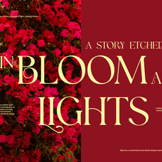 deqlite-elegant-serif-font-brandearth-studio-4.png
