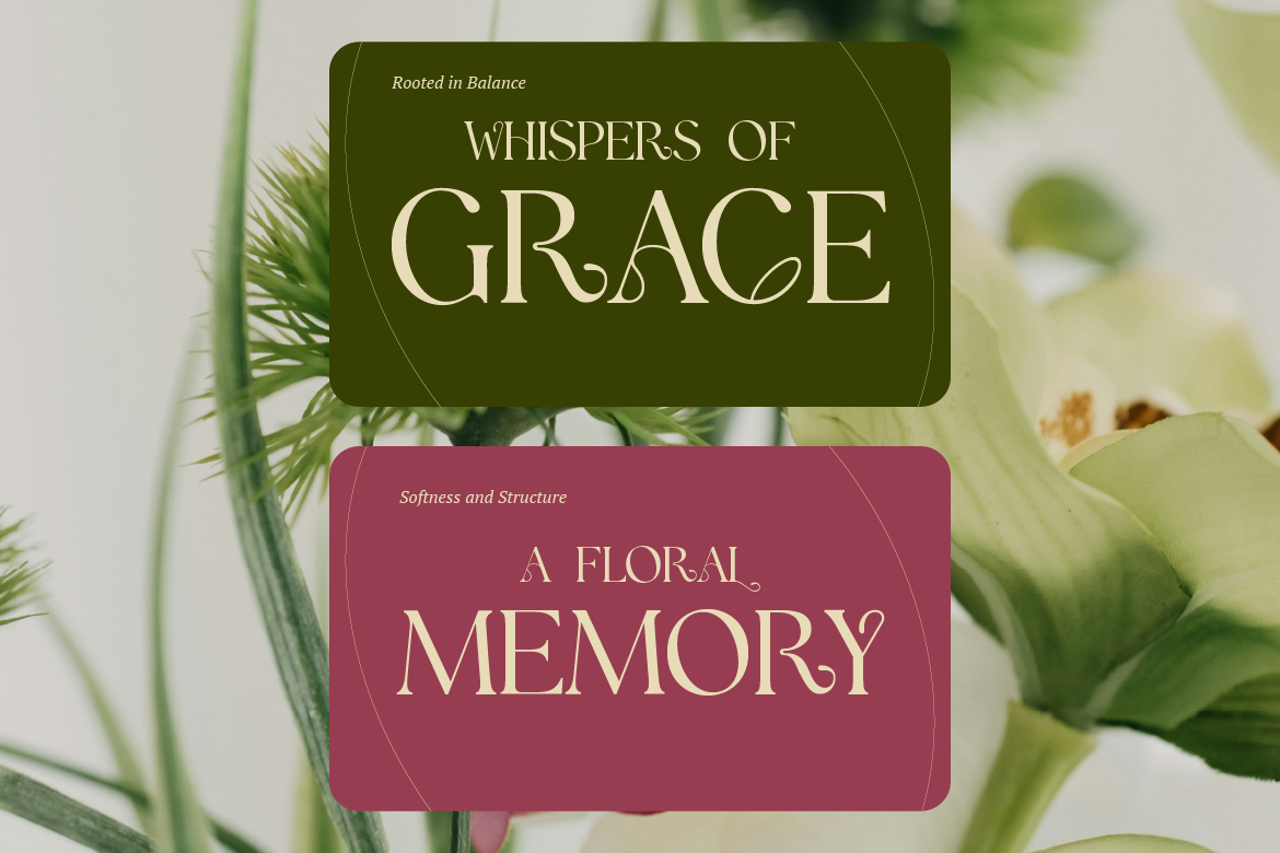 deqlite-elegant-serif-font-brandearth-studio-5.png