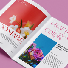 deqlite-elegant-serif-font-brandearth-studio-7.png