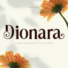 dionara-luxury-elegant-stylish-serif-font-rasio-std-1.jpg