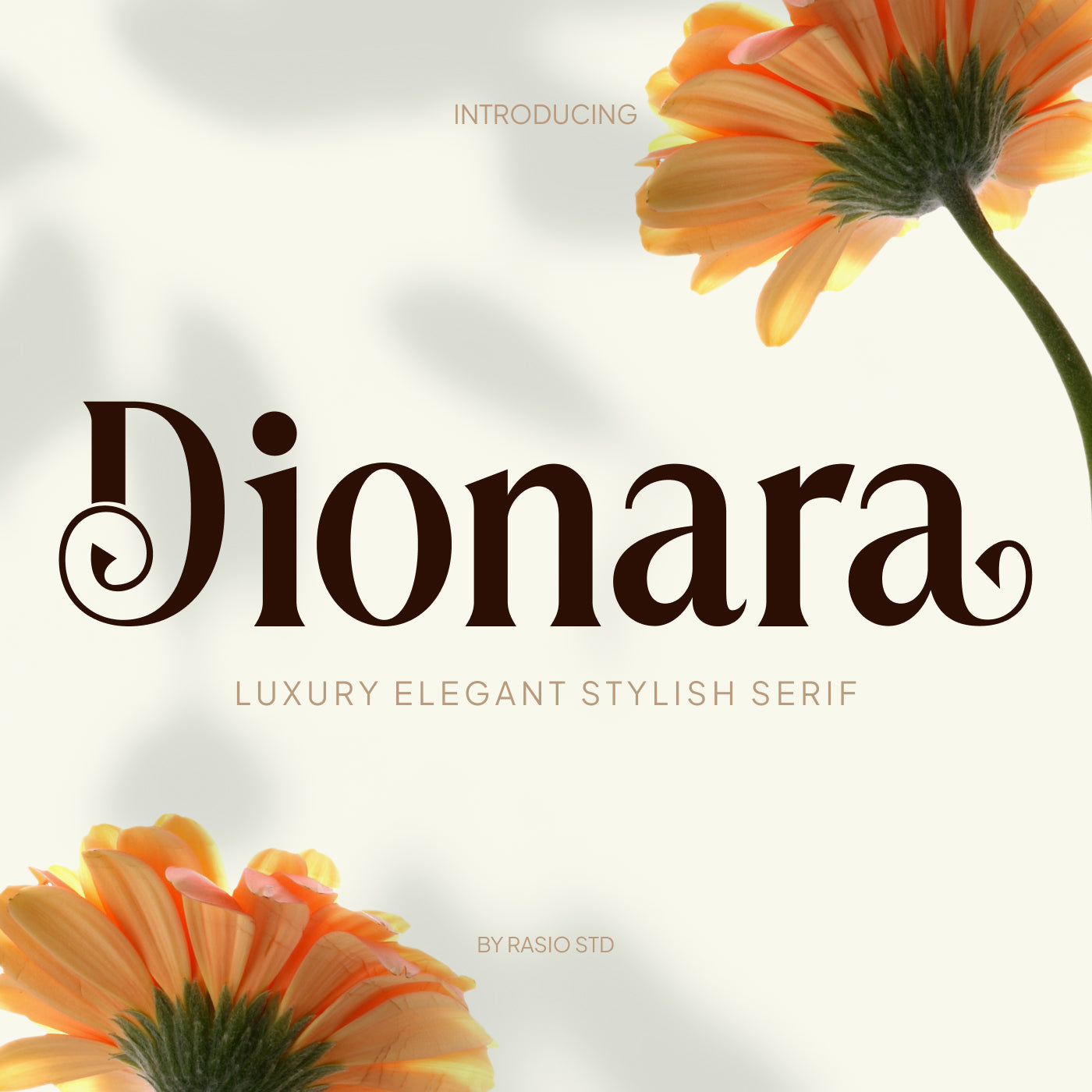 dionara-luxury-elegant-stylish-serif-font-rasio-std-1.jpg