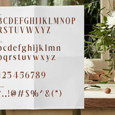 dionara-luxury-elegant-stylish-serif-font-rasio-std-2.jpg
