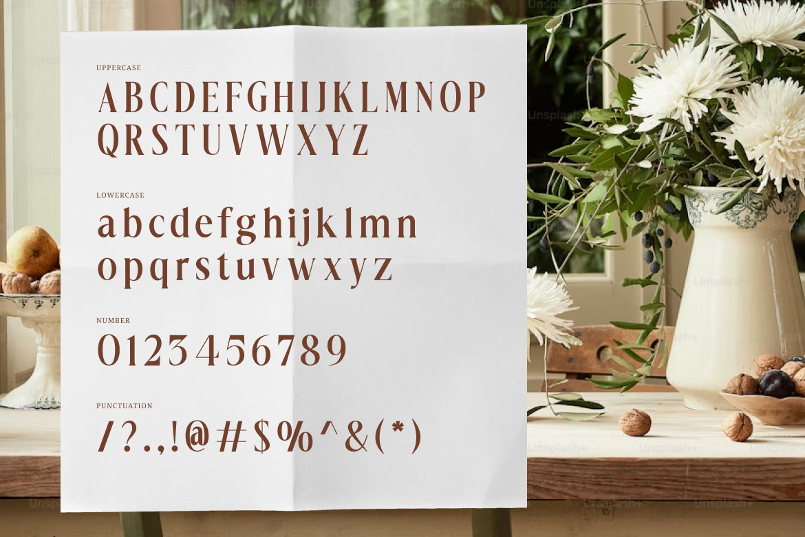 dionara-luxury-elegant-stylish-serif-font-rasio-std-2.jpg