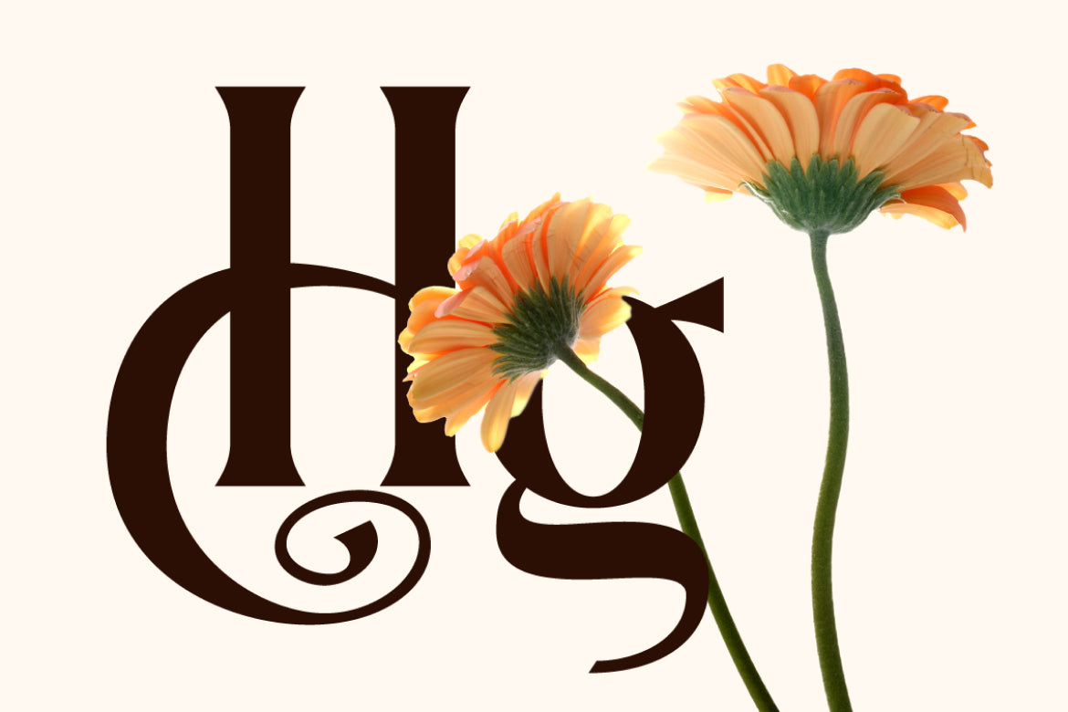 dionara-luxury-elegant-stylish-serif-font-rasio-std-3.jpg