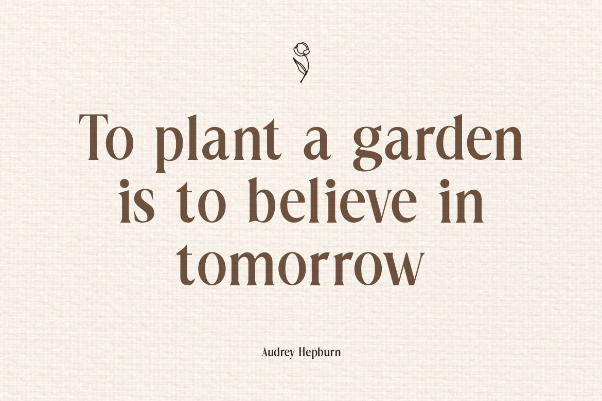 dionara-luxury-elegant-stylish-serif-font-rasio-std-4.jpg
