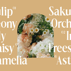 dionara-luxury-elegant-stylish-serif-font-rasio-std-6.jpg