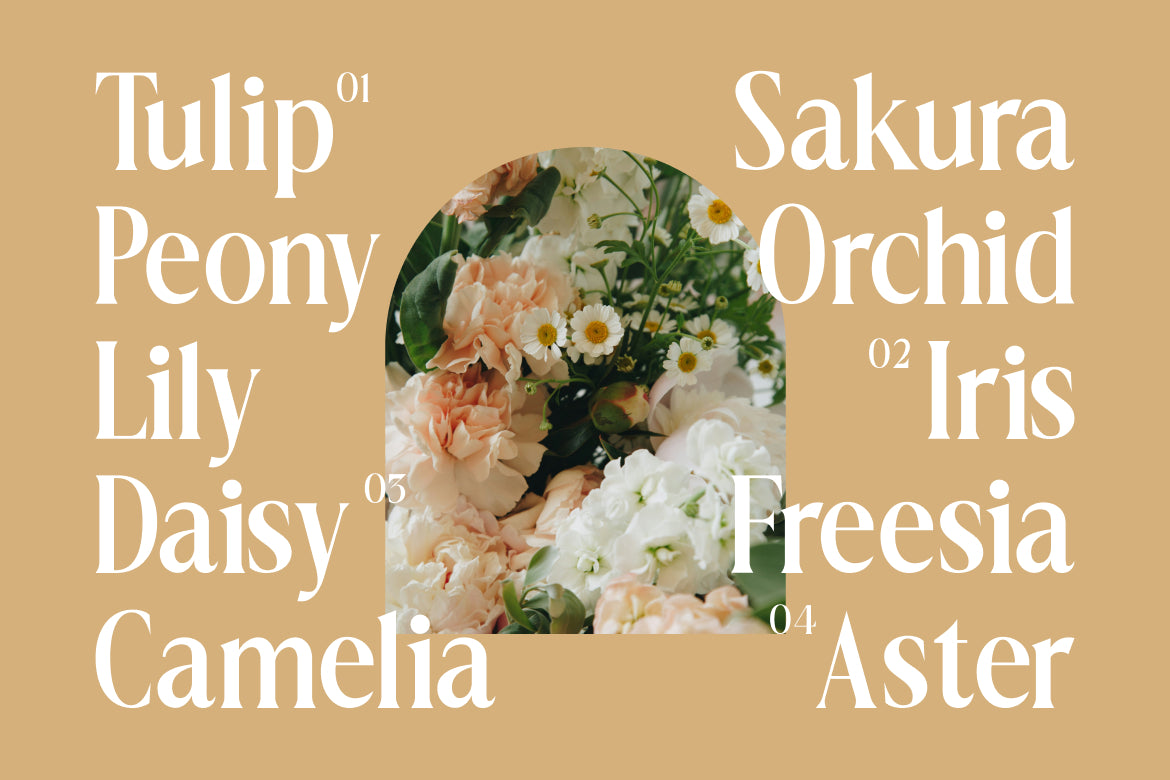 dionara-luxury-elegant-stylish-serif-font-rasio-std-6.jpg