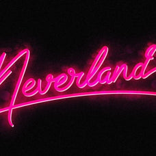 Disco Rendezvous: A Night Club Inspired Script Font Pair