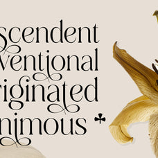 dobagi-elegant-modern-serif-font-roomspace-creative-lab-2.jpg