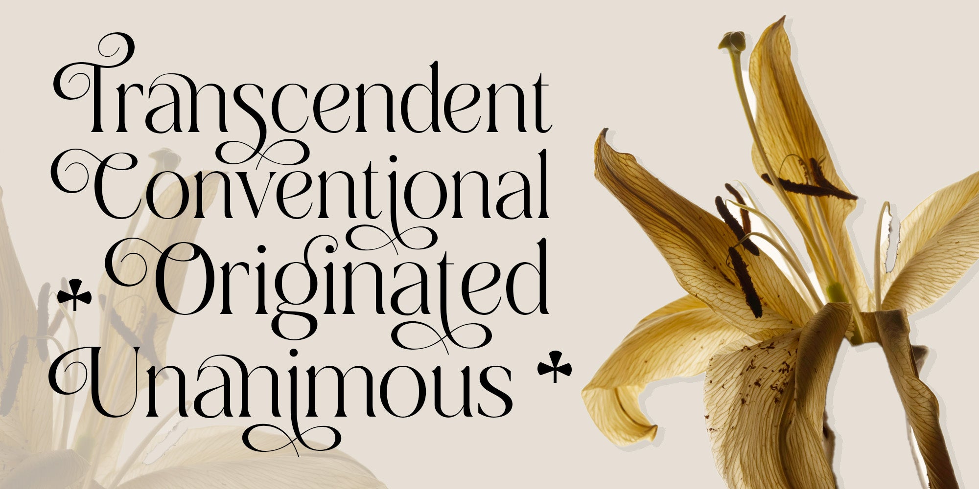 dobagi-elegant-modern-serif-font-roomspace-creative-lab-2.jpg