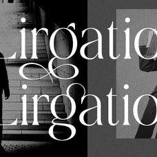 dobagi-elegant-modern-serif-font-roomspace-creative-lab-8.jpg