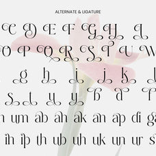 dobagi-elegant-modern-serif-font-roomspace-creative-lab-9.jpg
