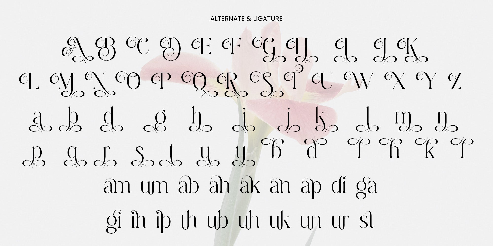 dobagi-elegant-modern-serif-font-roomspace-creative-lab-9.jpg