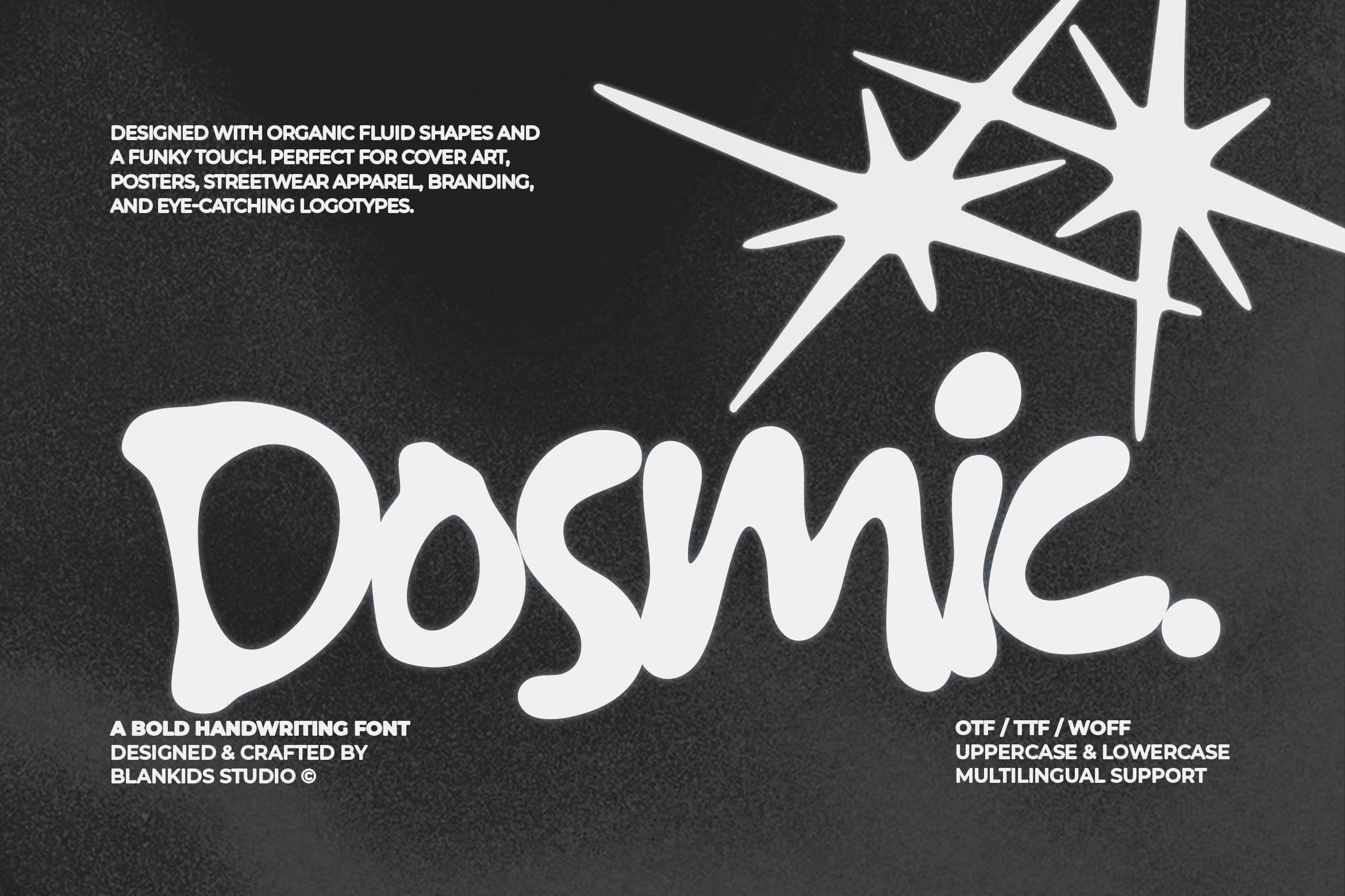 dosmic-organic-fluid-display-font-blankids-3.jpg