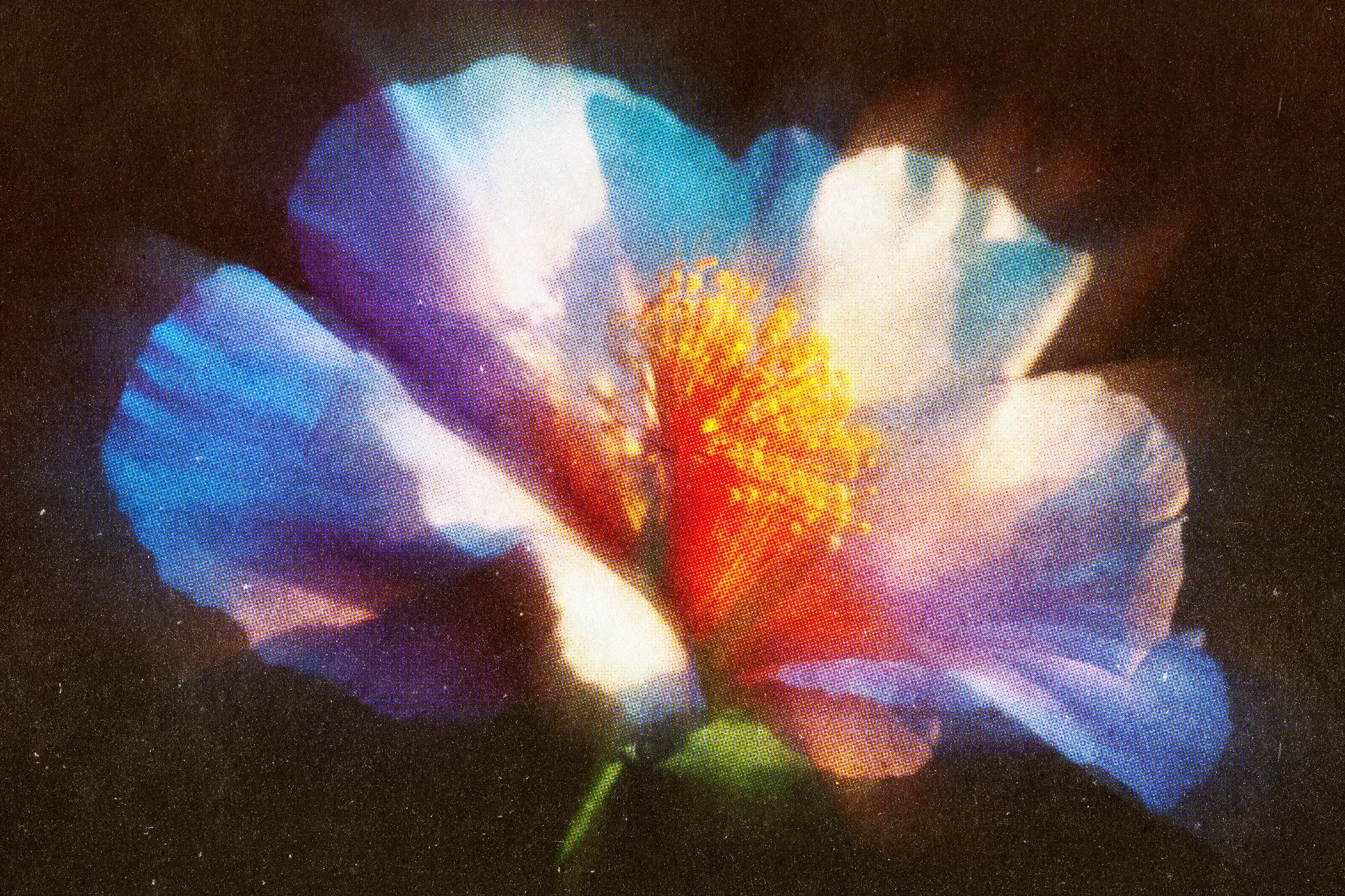 dreamy-radial-blur-vintage-effect-pixelbuddha-5.jpg