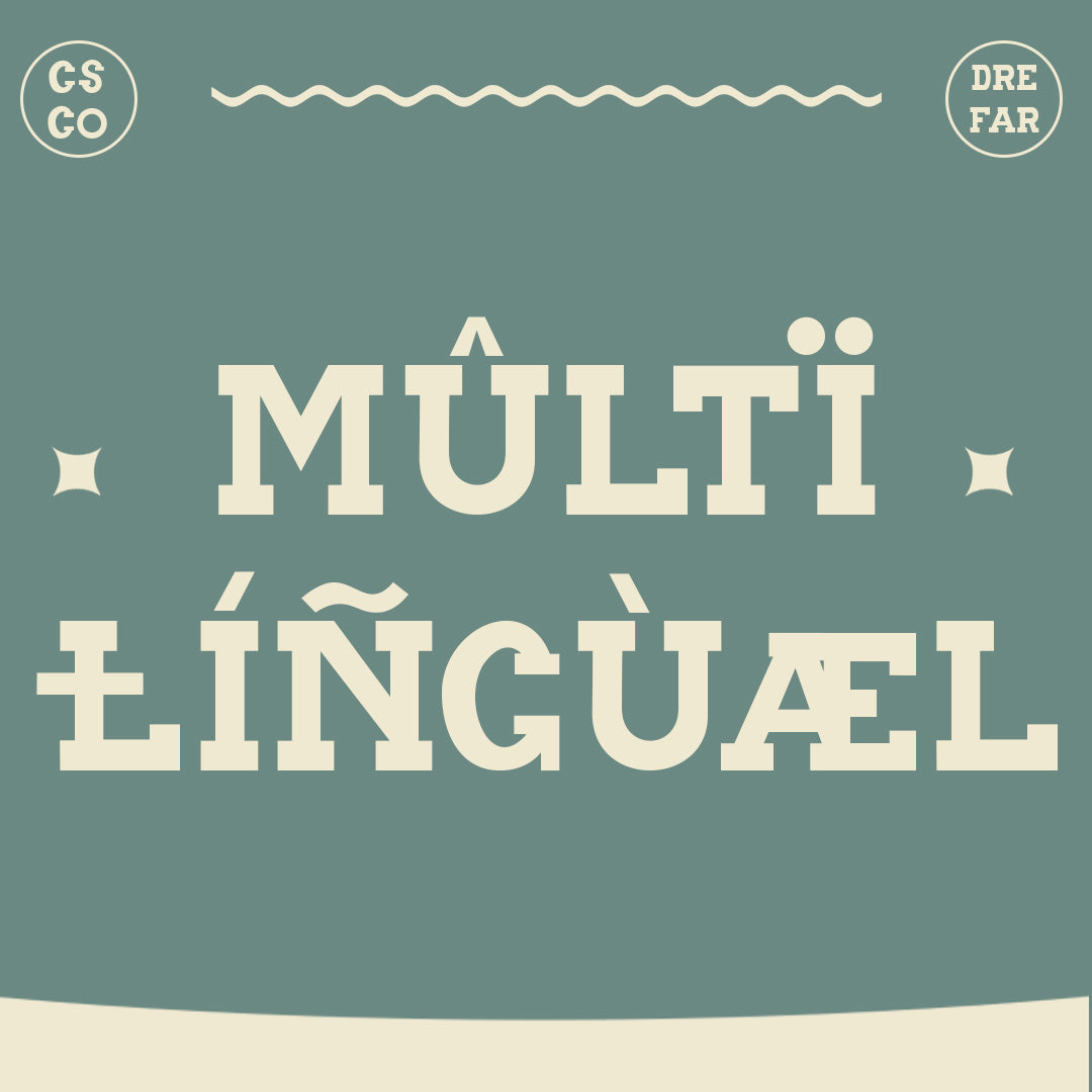 drefar-slab-serif-font-craft-supply-co-7.jpg