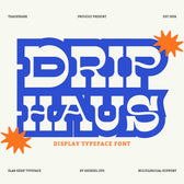 Drip Haus Slab Serif Font