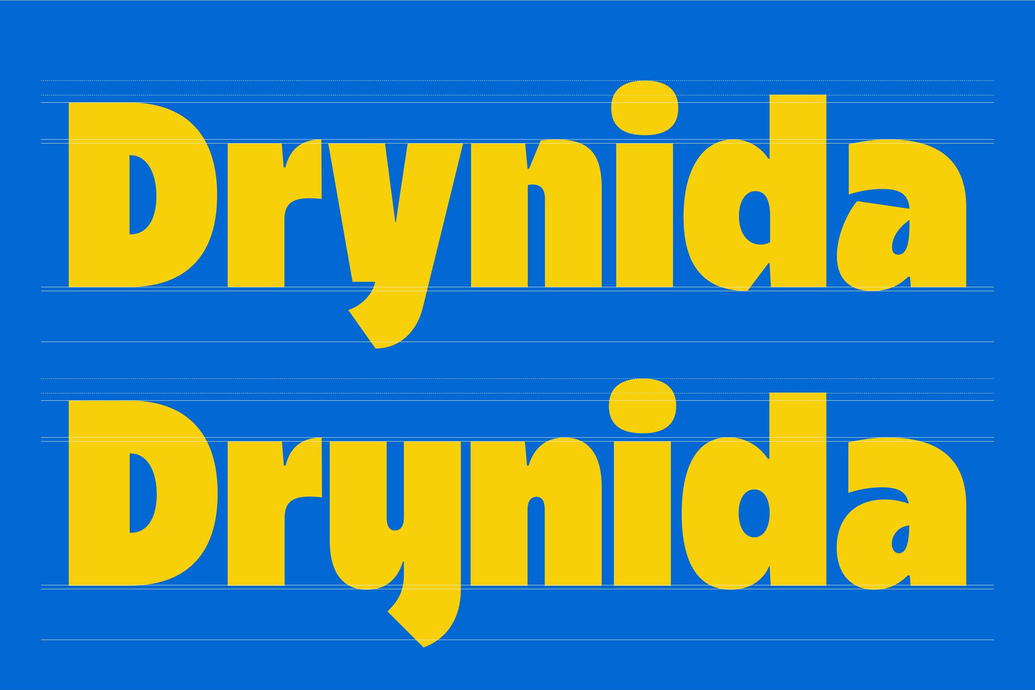 drynida-roams-type-co-6.jpg