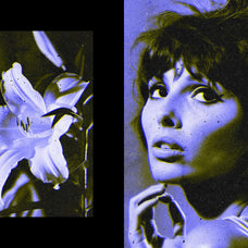 duotone-retro-photo-effect-pixelbuddha-4.jpg