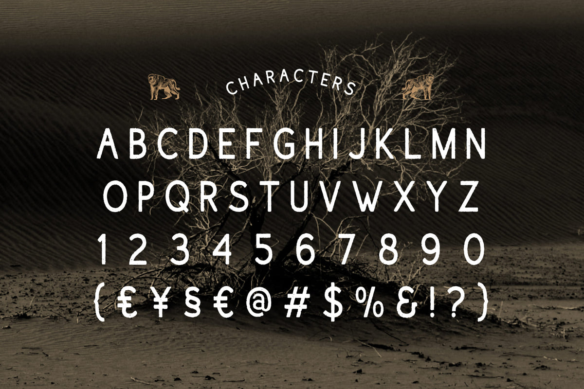 dustmoor-vintage-adventure-typeface-font-vadova-studio-2.jpg