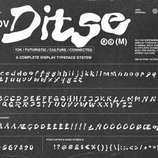 dv-ditse-damelev-5.jpg