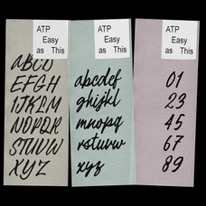 easy-as-this-handwritten-brush-script-font-typeparties-7.png