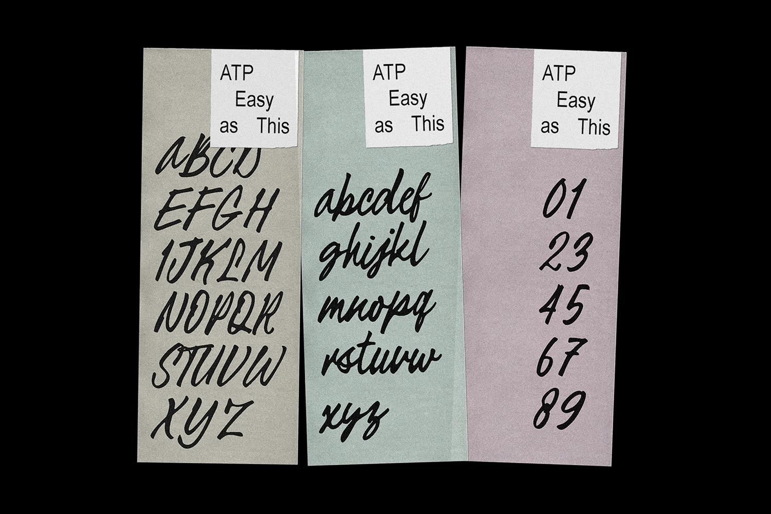 easy-as-this-handwritten-brush-script-font-typeparties-7.png