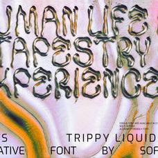 Ebrius Font - Trippy Bitmap Font